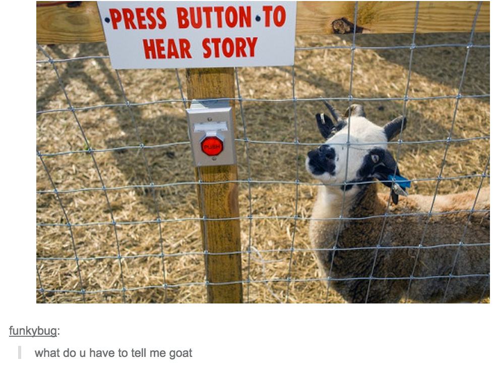 storyteller funny - Press Button To Hear Story funkybug what do u have to tell me goat