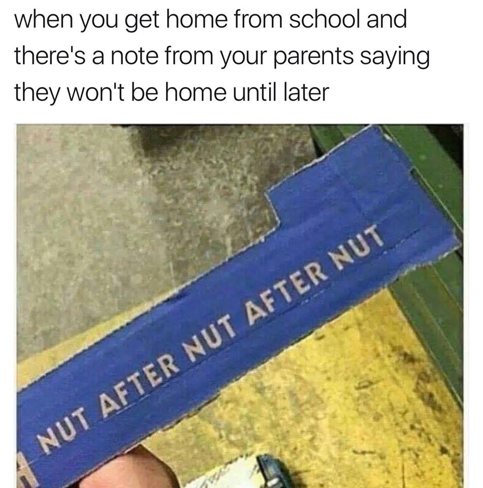 nut after nut after nut meme - when you get home from school and there's a note from your parents saying they won't be home until later Nut After Nut After Nut