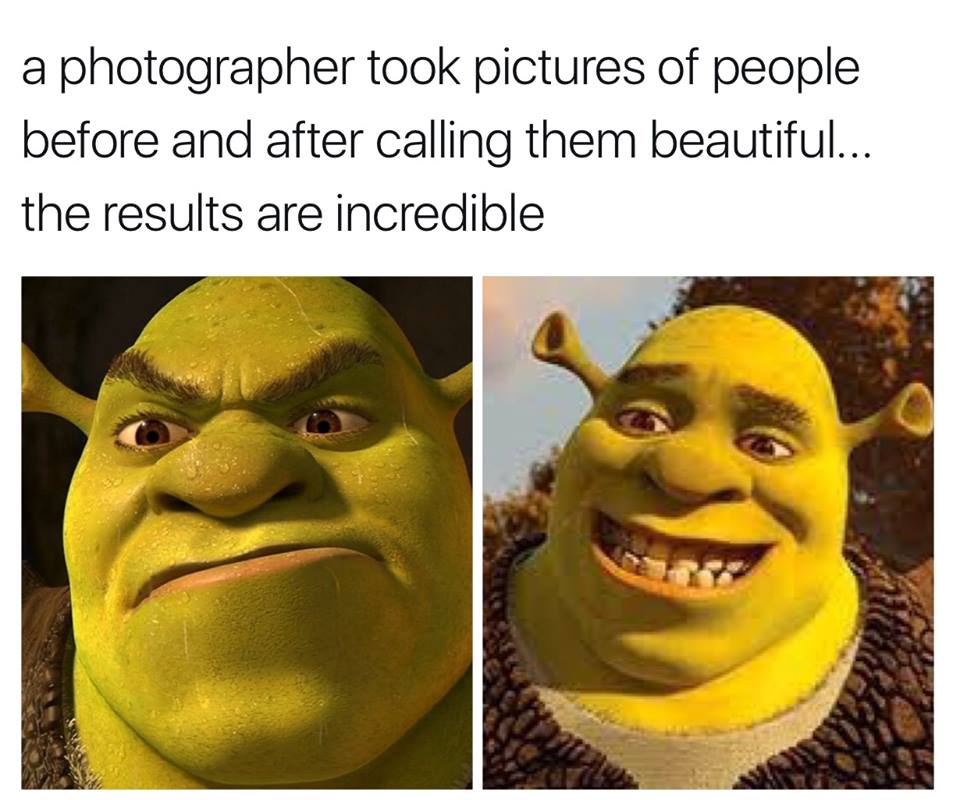 beautiful shrek - a photographer took pictures of people before and after calling them beautiful... the results are incredible