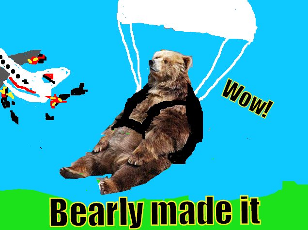 he BEARLY Made it