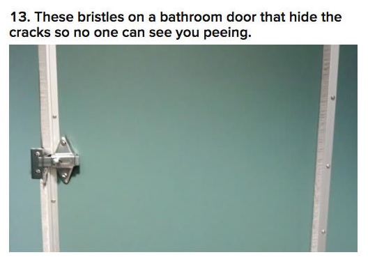 angle - 13. These bristles on a bathroom door that hide the cracks so no one can see you peeing.