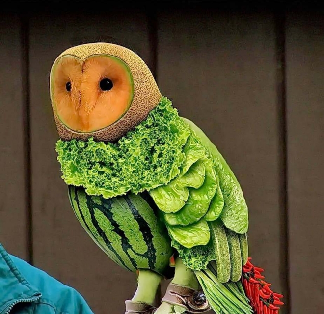 Amazing Food Artistry