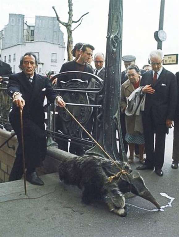 salvador dali anteater