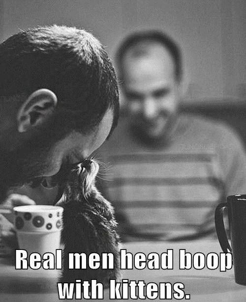 real men head boop kittens - Real men head hoop with kittens.
