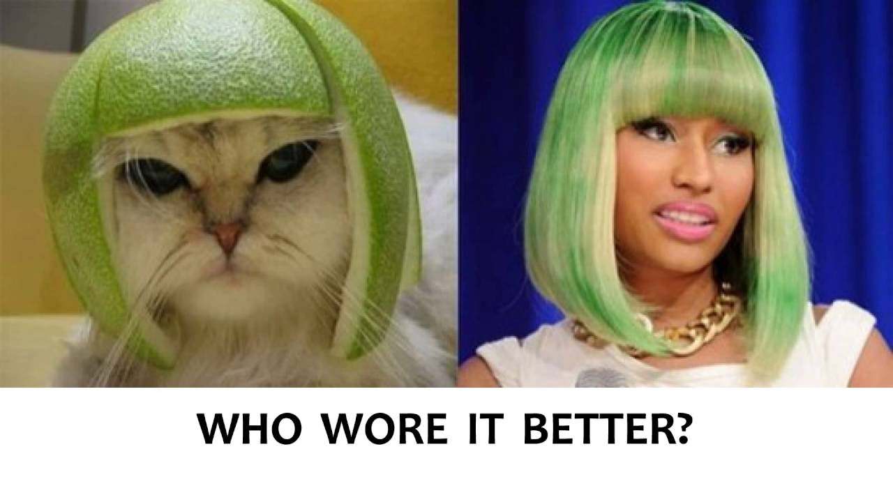 wore it better cat - Who Wore It Better?