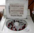 washing machine serves as a cooler for budweiser