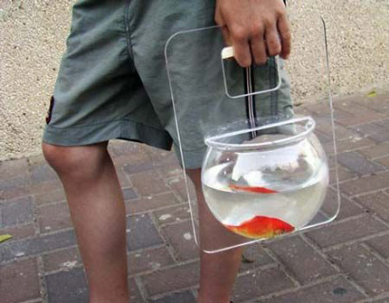 Because your cool if you take your fish for a walk