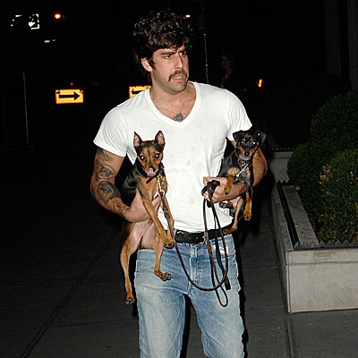Stars Who Look Like Their Dogs?