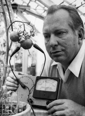 3 Hubbard Electrometer, 1968 American science fiction writer and founder of the Church of Scientology L. Ron Hubbard uses his Hubbard Electrometer to determine whether tomatoes experience pain, 1968. His work led him to the conclusion that tomatoes "scream when sliced."