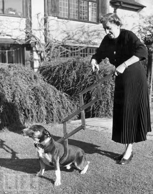 28 Dog Restrainer, 1940
