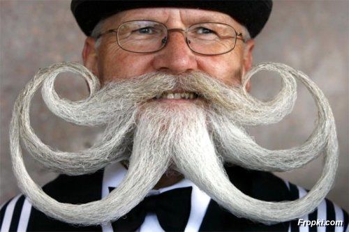 Best mustache and beard