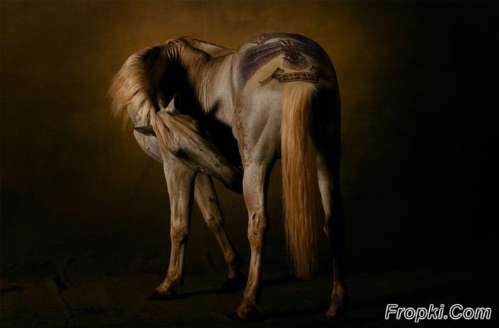 Horse with a Tattoo
