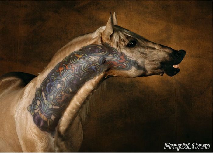 Horse with a Tattoo