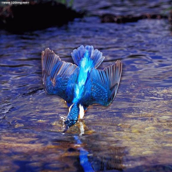 Simply Superb Photography