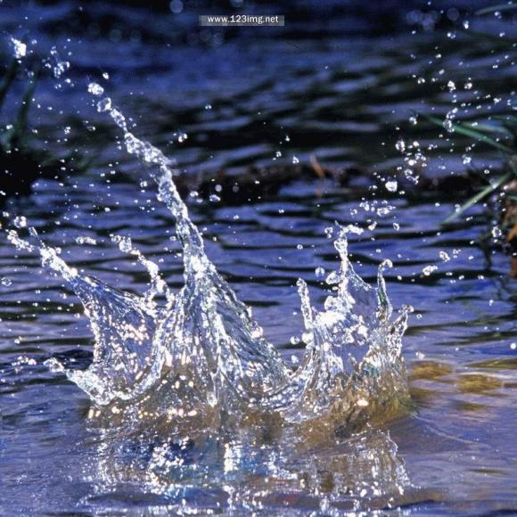 Simply Superb Photography