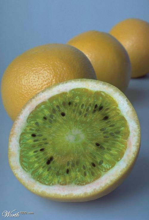 photoshop fruit kiwifruit - Worthoo.com