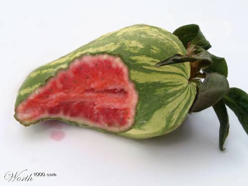 photoshop fruit watermelon