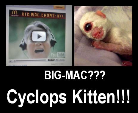 the big mac "chant-off" ad running on youtube
reminds me of the 
ALBINO-CYCLOPS-KITTEN!!!!