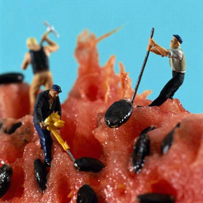 Zoomed In Food Art