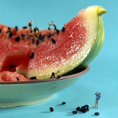 Zoomed In Food Art