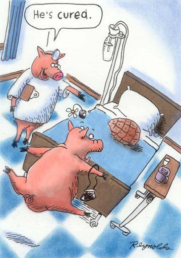 Funny Animal Cartoons