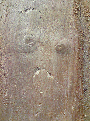 Faces In Places.