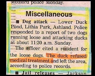 funniest police reports - Medora police Monday. Miscellaneous Dog attack Lower Duck Pond, Lithia Park, Ashland. Police responded to a report of two dogs running loose and attacking ducks at about a.m. Sunday. The officer cited a resident for the loose dog