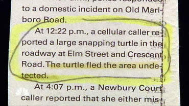 funniest police stories - Podupunul to a domestic incident on Old Marl boro Road. At p.m., a cellular caller re ported a large snapping turtle in the roadway at Elm Street and Crescent Road. The turtle fled the area unde tected. At p.m., a Newbury Cour ca
