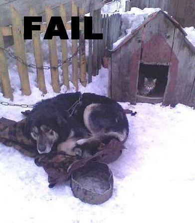 Fail Gallery