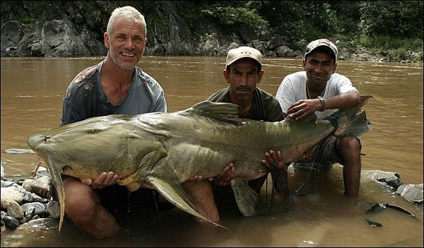 A biologist called to investigate found a strange catfish species that might be responsible for the recent death. Here are his explanations: For years, the river has been used in Hindu ceremonies to release dead people in the water. Some freak fishes then began to get used to eating human bodies, to slowly mutate and getting bigger and bigger.