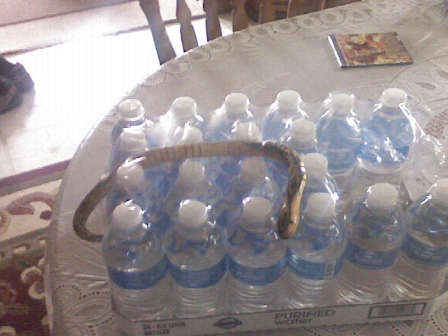 oh my god ! snakes on a case.......of water   RUN ! ! ! lol