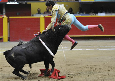 bull fight highlights