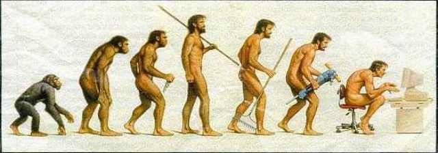 Evolution evolution evolution