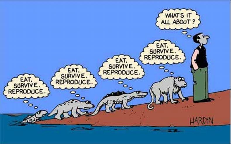 Evolution evolution evolution