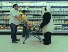 panda grocery store gif
