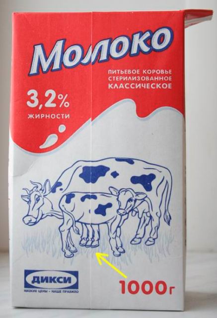 From Chernobyl cows 