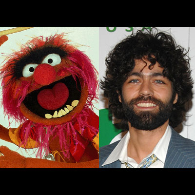 Muppet - Celebrity Comparisons