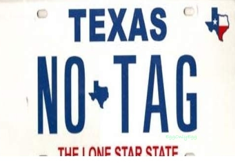 vehicle registration plate - Texas NoTag Eggonly99 The Lone Star State