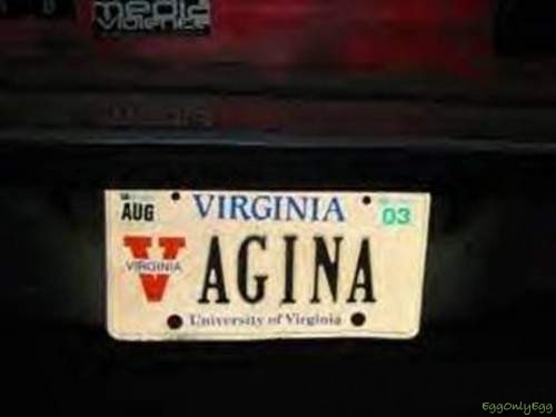 funny license plates - Tigre Aug Virginia 03 Vagina I s Vieglaia EggonlyEgg