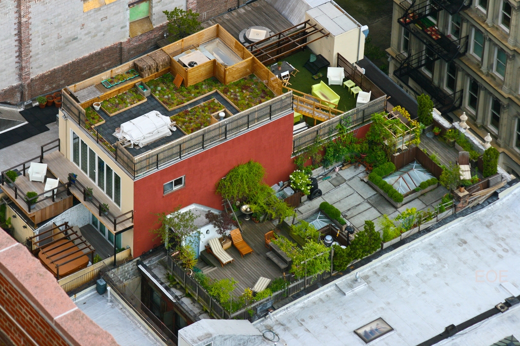 Interesting Rooftops