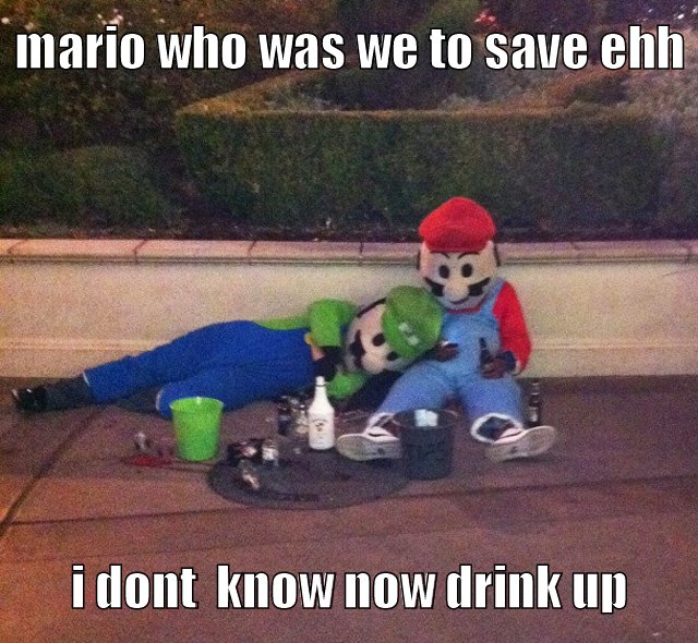 mario and luigi forgot to save the princess