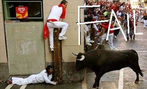 Hiding fron a bull Fail
