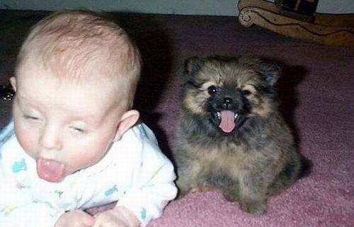 Baby and Dog - Picture | eBaum's World