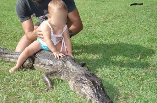 Casue a Pet Crocodile wasn't enough
