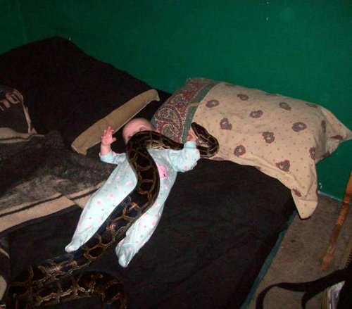 The Python got sick of eating rats