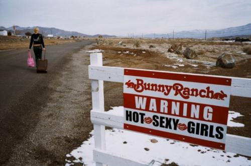 The INfamous Bunny Ranch