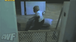 Baby escapes a baby Gate