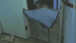 Baby escapes a baby Gate