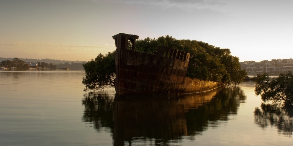 the remains of the ss ayrfield in homebush bay Australia