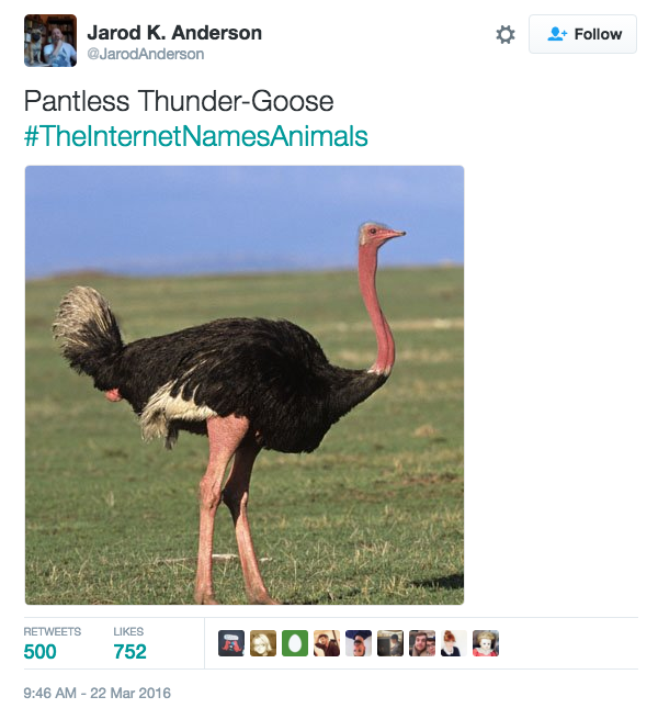 The Internet Takes a Crack at Naming Animals